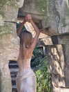 vasilinskiy Altpins Profile Picture