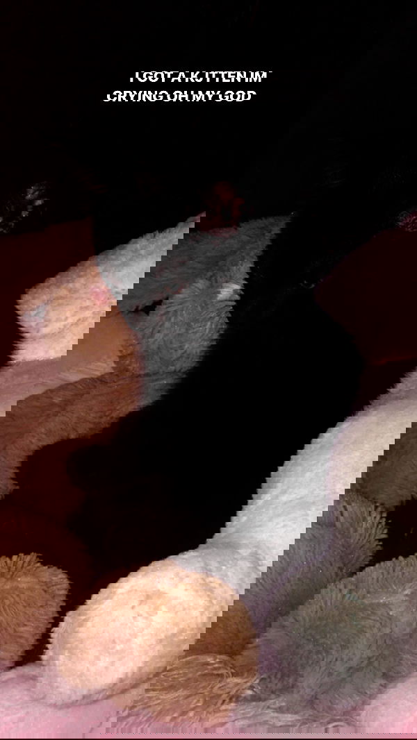 iluvmeww iluvmeww archive image