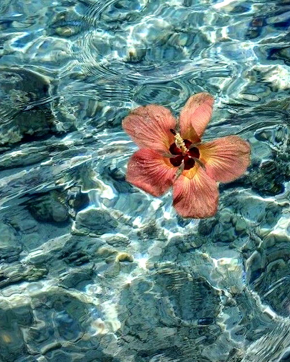 lyhythuedoxinh instagram image archive image
