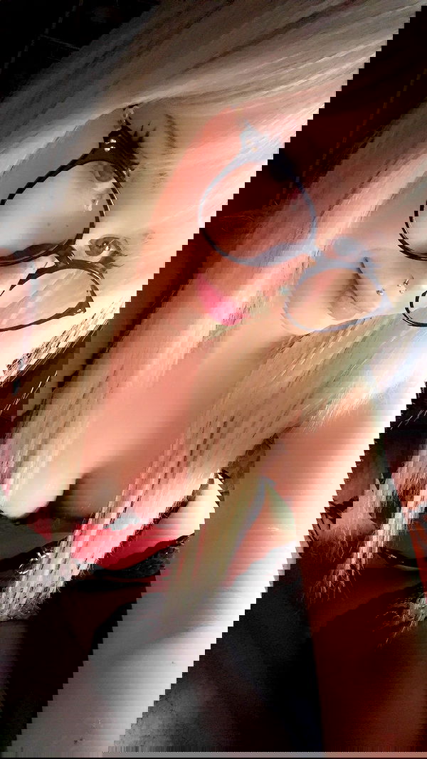 ratskeleton ratskeleton archive image