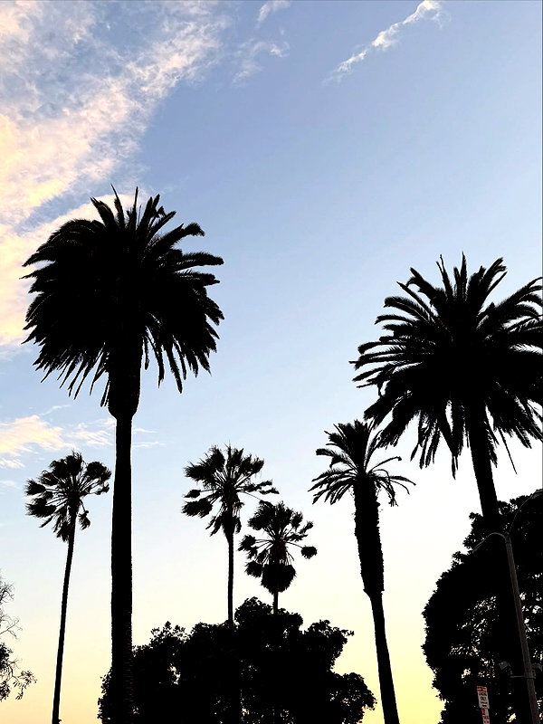 bbyambi instagram image archive image