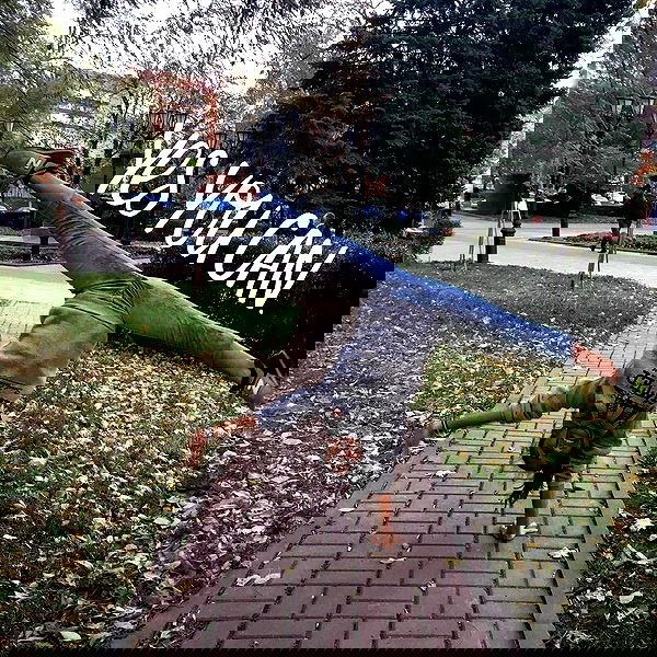 kkulakovaa image ~ Altpins