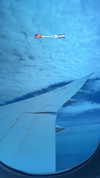 biton__adi Altpins Profile Picture