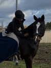 lilih Altpins Profile Picture