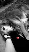 analuvillarreal Altpins Profile Picture