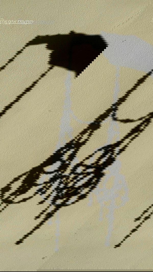 taylor.creeden taylor.creeden archive image