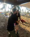 rikol_nohana Altpins Profile Picture