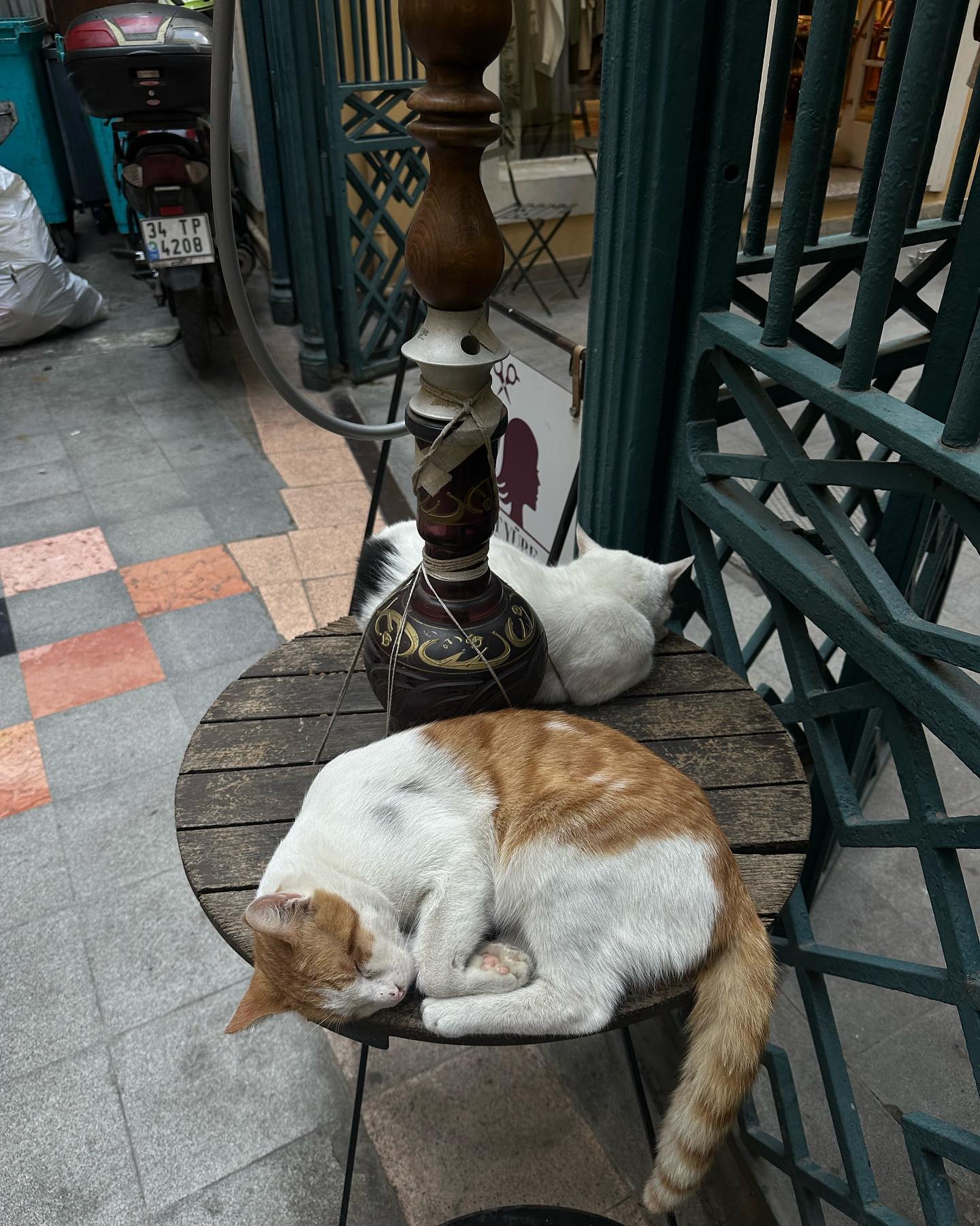 kkulakovaa instagram image archive image