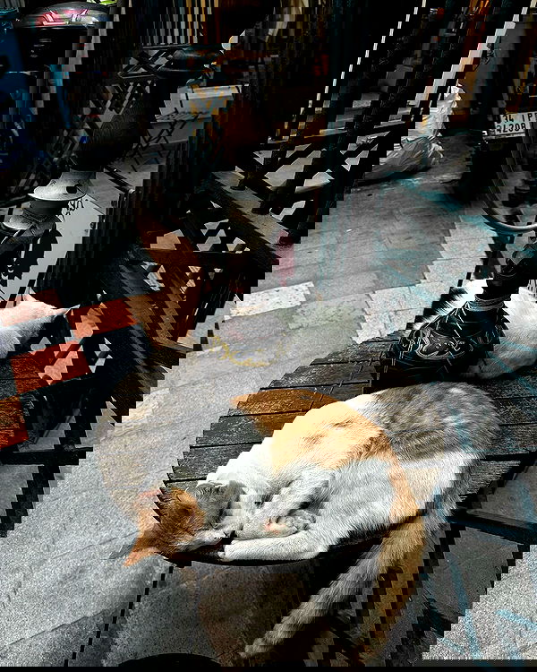 kkulakovaa image ~ Altpins