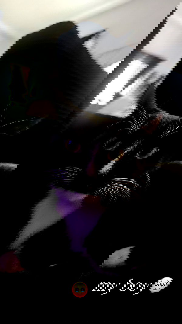 6nattynat9 6nattynat9 archive image