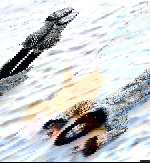 kkulakovaa image ~ Altpins