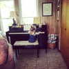 lucyhale Altpins Profile Picture