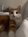 daxbin Altpins Profile Picture
