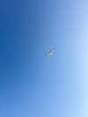 777pb_ Altpins Profile Picture