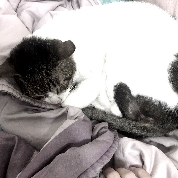 nixqq.425_ instagram image archive image