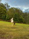 macaroni_naomi Altpins Profile Picture