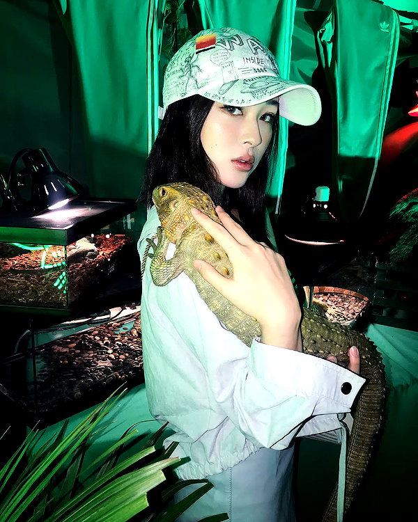 emily.ghoul instagram image archive image