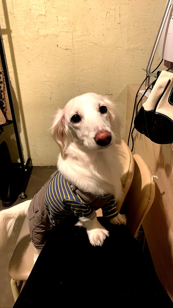 Archived image from @heroineseen on Instagram
