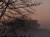 danamrts Altpins Profile Picture