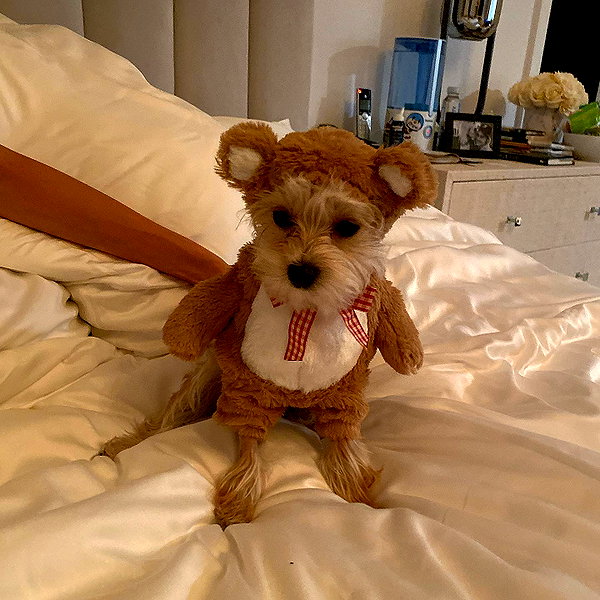 haileybieber instagram image archive image