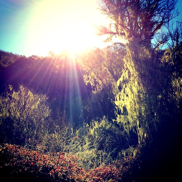 lilbieber instagram image archive image