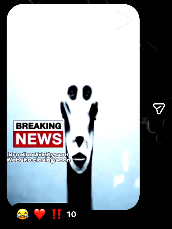 grogusmami instagram image archive image