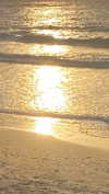 babynympho_archive Altpins Profile Picture