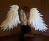 aseynat0r Altpins Profile Picture