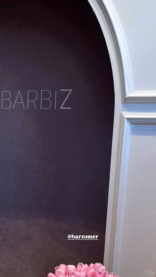 barzomer instagram image archive image