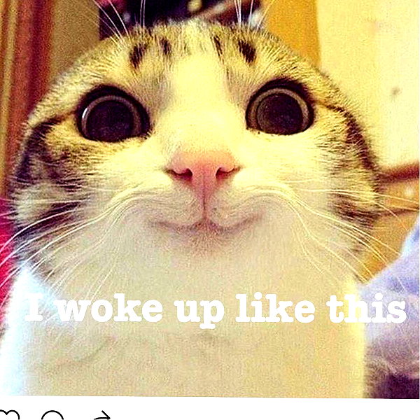 lilbieber instagram image archive image