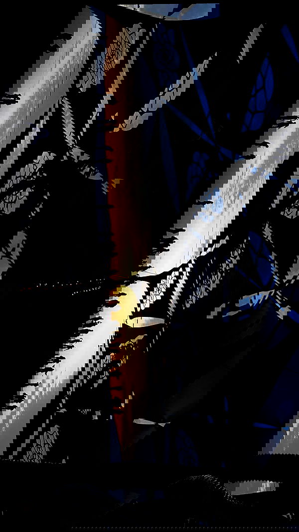 sofiabooshin sofiabooshin archive image