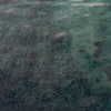 _broock_ Altpins Profile Picture