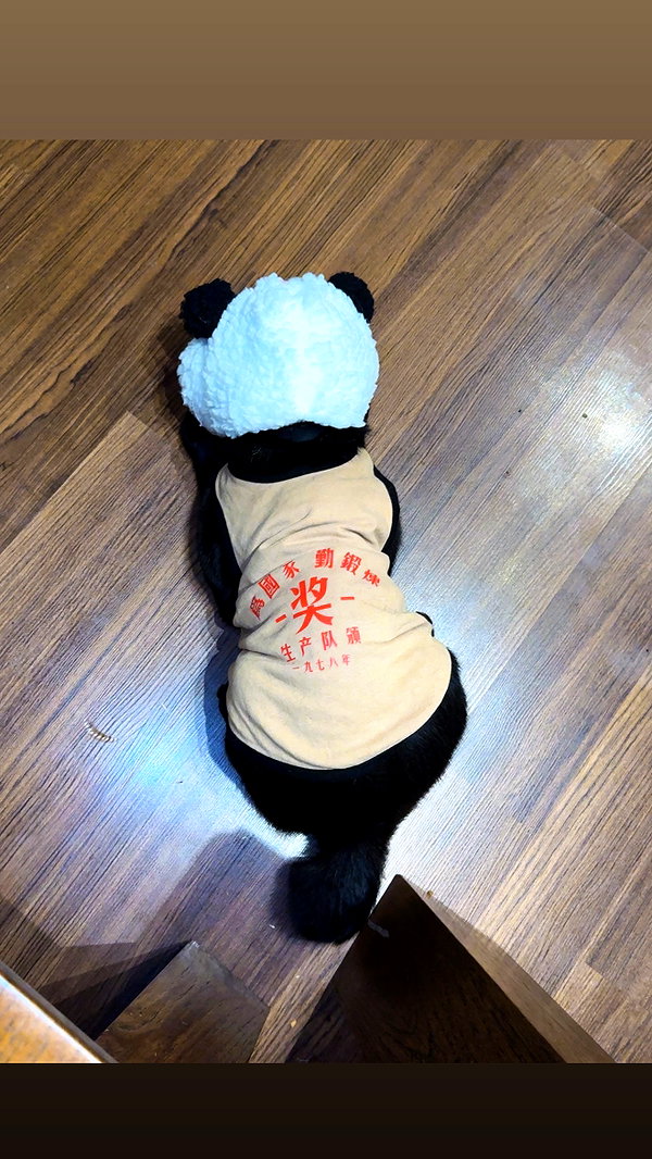 darkstar_mia instagram image archive image