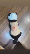 darkstar_mia Altpins Profile Picture