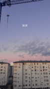 ancideja Altpins Profile Picture
