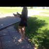 orman.mariee Altpins Profile Picture