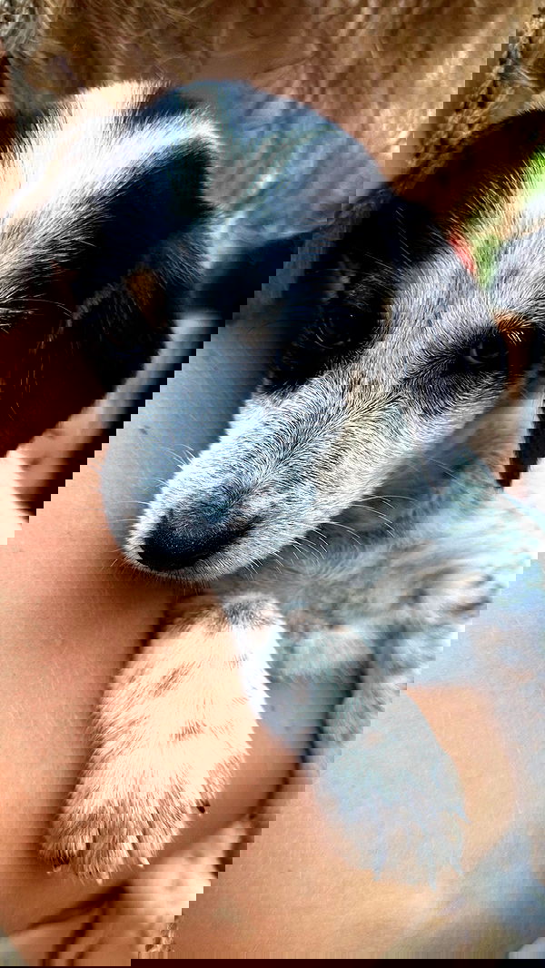 taylor.creeden taylor.creeden archive image