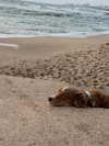 alma_ck_ Altpins Profile Picture