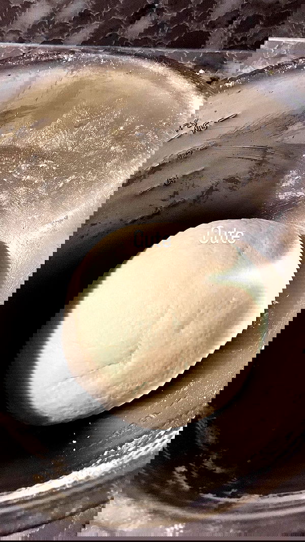 elianachetrit elianachetrit archive image