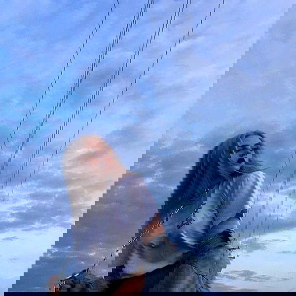 annfigmax image ~ Altpins