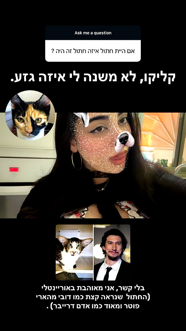 onlmeow onlmeow archive image
