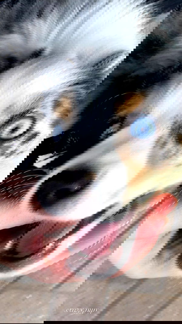 taylor.creeden taylor.creeden archive image