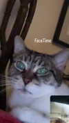ochya0 Altpins Profile Picture