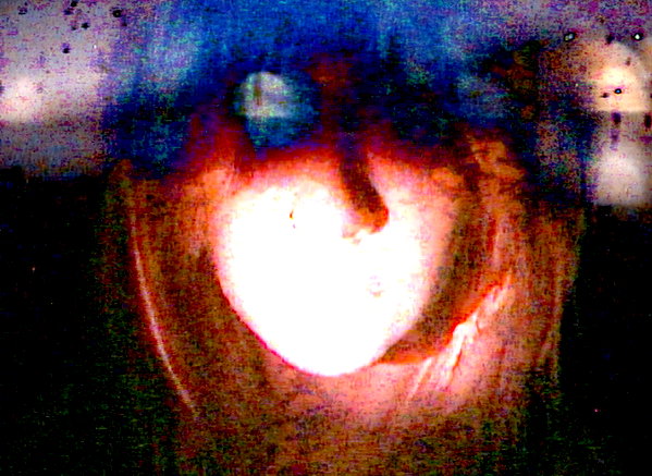 bugz4brainz instagram image archive image