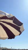 lian_sabag8 Altpins Profile Picture