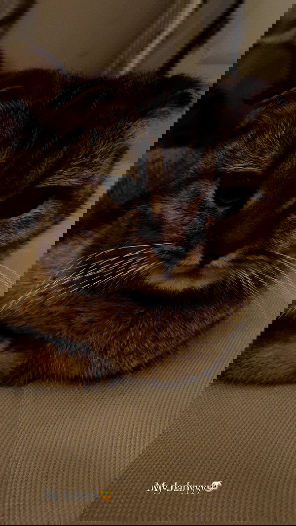 taylor.creeden taylor.creeden archive image