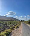 mishel_d_ Altpins Profile Picture