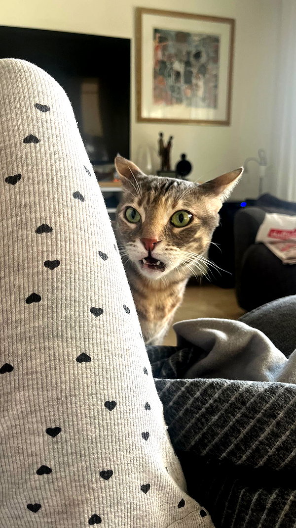 Archived image from @notchicore on Instagram