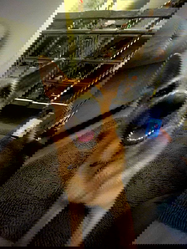 kitty.elliss kitty.elliss archive image