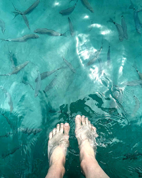 alexandradaddario instagram image archive image